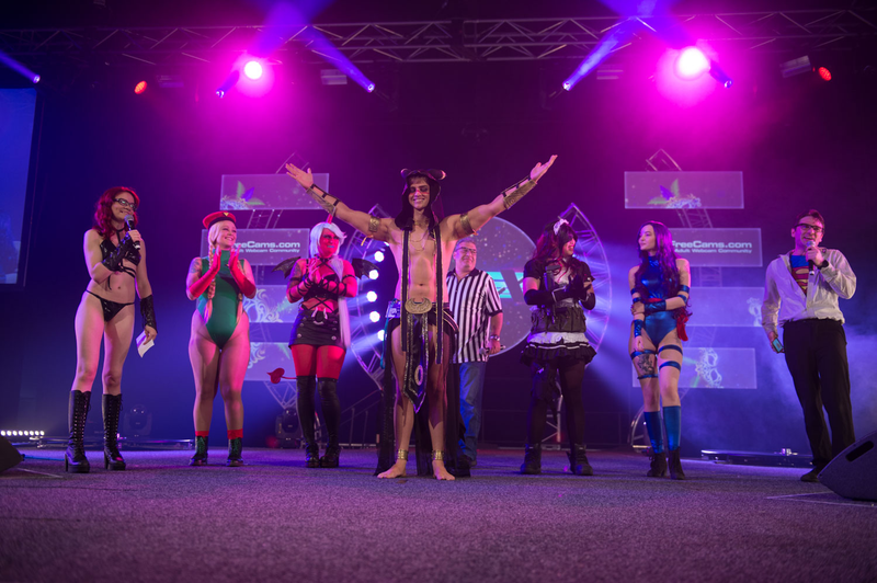 Illustration for article titled Sex Expo Is A Perfect Place For Cosplay